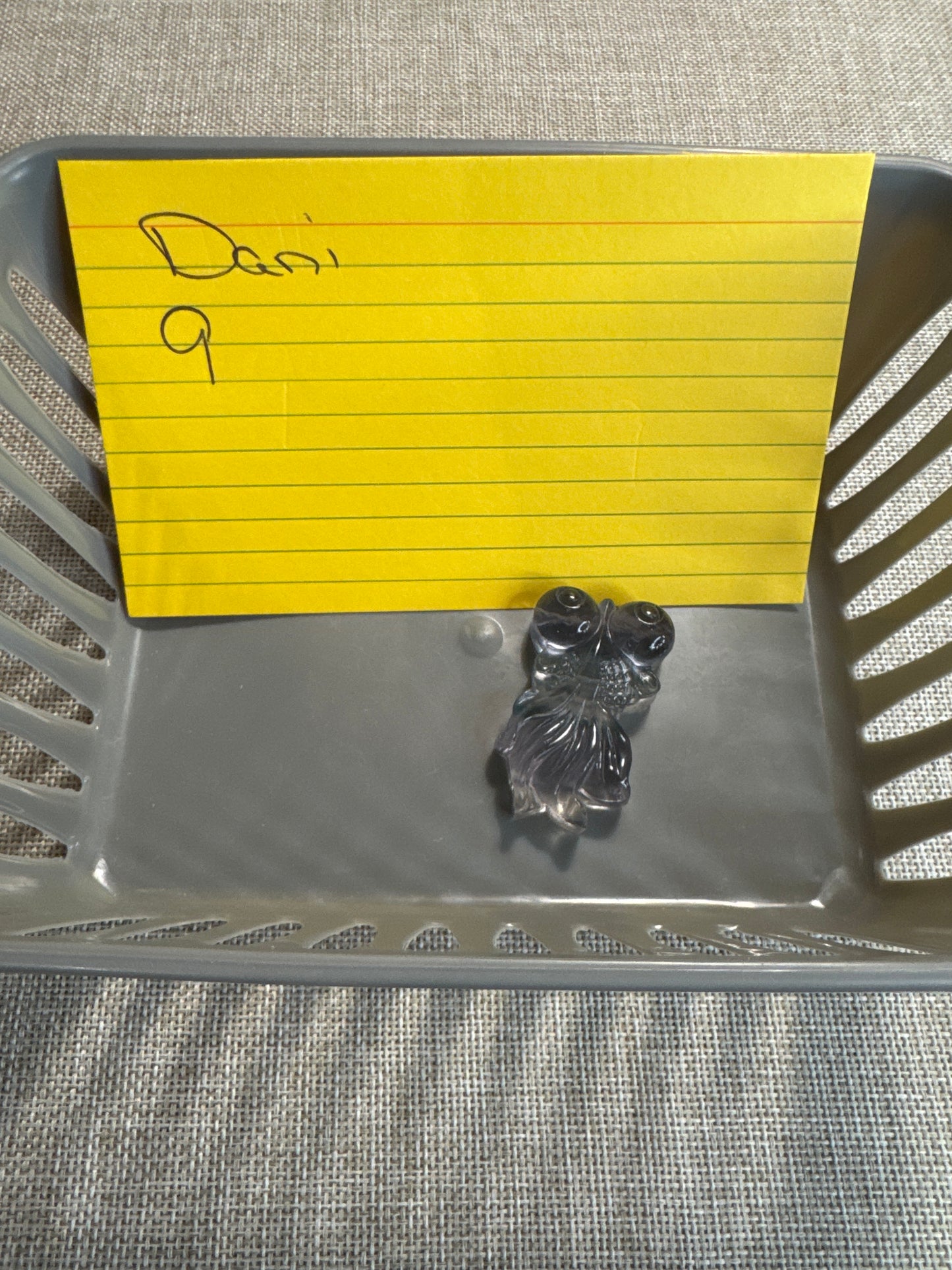 Dani